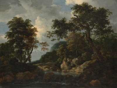 Il ruscello nella foresta da Jacob van Ruisdael